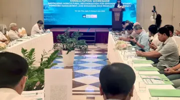 يهدف التحول الرقمي للميكنة الزراعية إلى تحسين الاستثمار والإدارة ورفع كفاءة إنتاج الأرز.