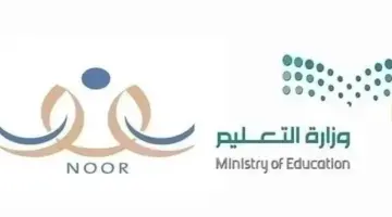خطوات تسجيل الطلاب اليمنيين زيارة في نظام نور 2026 برابط مباشر