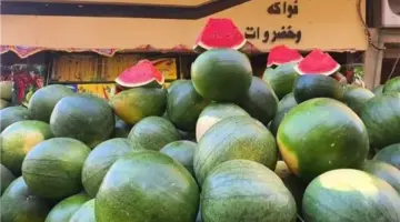 3 أنواع من الفاكهة مرشحة لانخفاض الأسعار في الأسواق خلا الفترة المقبلة|خاص