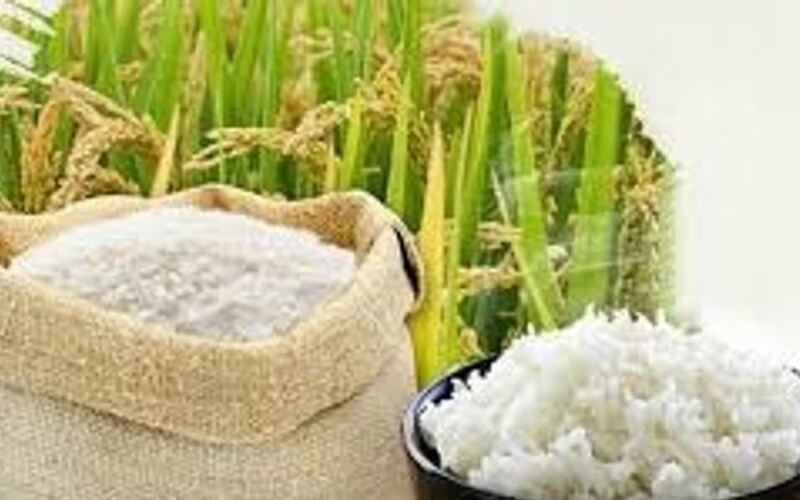 أسعار الأرز في 5 يونيو: السوق المحلي يبقى مستقراً، وارتفع سعر أرز الياسمين بمقدار 1000 دونغ فيتنامي/كجم.