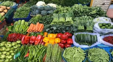 أسعار الخضروات اليوم الأربعاء 24-6-2026 في سوق العبور.. الورق العنب بـ 20 جنيها