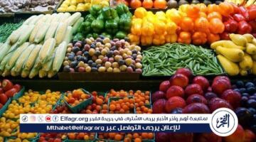 أسعار الخضروات والفواكه اليوم الإثنين 8 يونيو 2026 في أسواق الأقصر