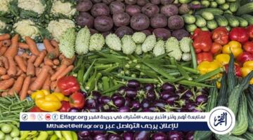 أسعار الخضروات والفواكه اليوم الاربعاء 10 يونيو 2026 في أسواق الأقصر