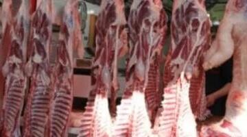 أسعار الدواجن واللحوم والأسماك اليوم بأسواق سوهاج