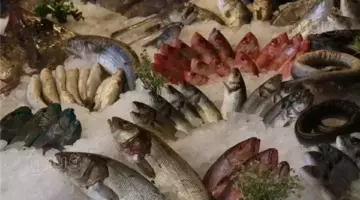 أسعار السمك اليوم، ارتفاع جديد في البلطي والجمبري الصغير يبدأ من 200 جنيه