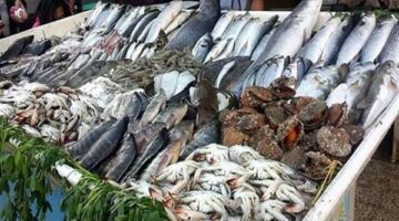 أسعار السمك اليوم، انخفاض البلطي والجمبري وارتفاع البوري 30 جنيها