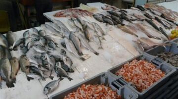 أسعار السمك اليوم، انخفاض الكابوريا وارتفاع البوري والبلطي والجمبري