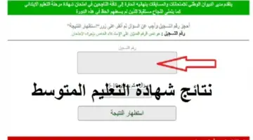 أول موقع دراسة في الجزائر .. الاستعلام عن نتائج شهادة التعليم المتوسط البيام 2026