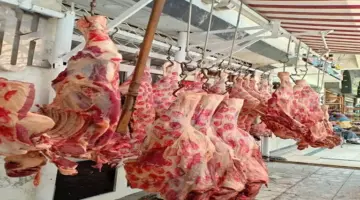 إجازة أسبوعين.. لماذا تغلق محلات الجزارة أبوابها بعد عيد الأضحى؟