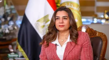 إنقاذ 6 سلاحف بحرية نادرة بسوق العبور ونقلها إلى محمية أشتوم الجميل