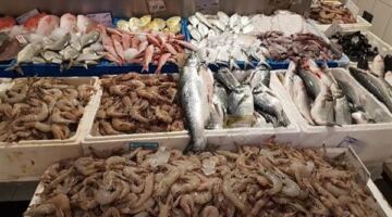 ارتفاع البوري وانخفاض الجمبري والكابوريا، أسعار السمك اليوم الإثنين 22 يونيو 2026