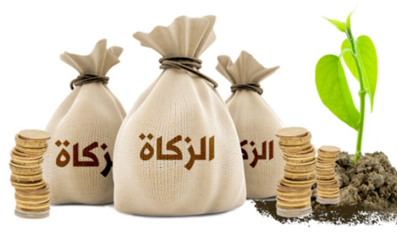 ارتفاع نصاب الزكاة: مرآة للتحولات الجيوسياسية والاقتصادية العالمية