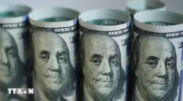 ارتفع الدولار الأمريكي إلى أعلى مستوى له في 13 شهراً.