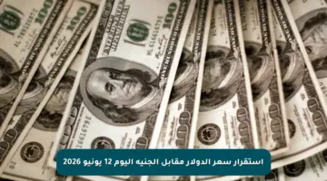 استقرار سعر الدولار مقابل الجنيه اليوم 12 يونيو 2026