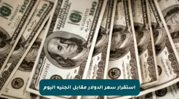 استقرار سعر الدولار مقابل الجنيه اليوم