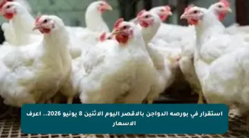 استقرار فى بورصة الدواجن بالأقصر اليوم الإثنين 8 يونيو 2026.. اعرف الأسعار