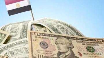 استقرار الدولار أمام الجنيه