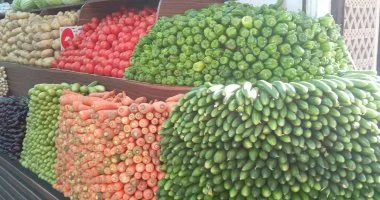استقرار في أسعار الخضروات بالمحلات والأسواق بمحافظة الأقصر.. اليوم الجمعة 26 يونيو 2026