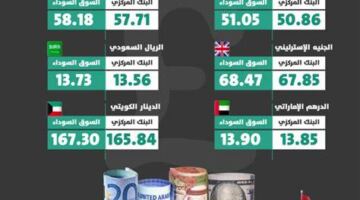 اسعار العملات اليوم فى مصر Reached 51.93 جنيه للشراء – مقالات نيوز