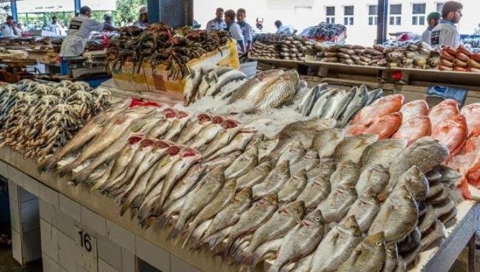 الجمبري بـ 900 جنيه.. أسعار الأسماك اليوم الخميس 11 يونيو 2026