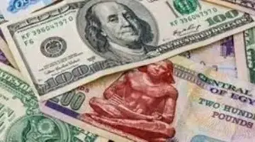 الدولار يثبت دون خمسين جنيها عبر البنوك المصرية اليوم