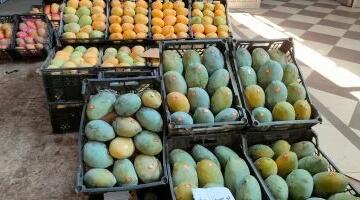 المانجا تبدأ من 50 جنيه.. أسعار الفاكهة بالأسواق والمحلات في الأقصر.. اليوم الأربعاء 10 يونيو 2026
