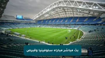 بث مباشر مباراة سلوفينيا وقبرص