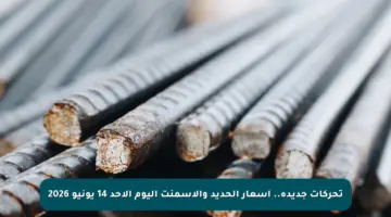 تحركات جديدة.. أسعار الحديد والأسمنت اليوم الأحد 14 يونيو 2026