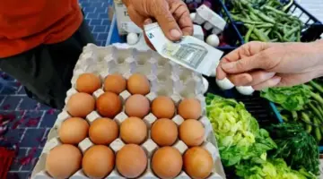 تراجع التوقعات التضخمية في منطقة اليورو يمنح البنك المركزي متنفسا جديدا