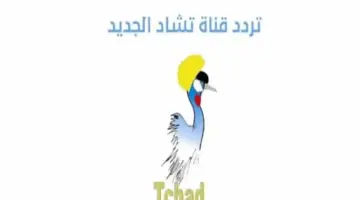 تردد قناة tele tchad لمشاهدة كأس العالم 2026 مجانًا