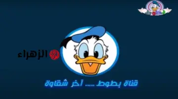 تردد قناة بطوط الجديد 2026 بجودة HD وكيفية الضبط