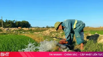 تعزيز إدارة المياه لضمان نمو مستقر لمحاصيل الأرز الصيفية والخريفية.