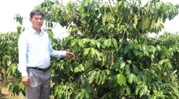 حققت شركة 704 Coffee إنجازاً بارزاً من خلال استراتيجية تجديد المزارع.