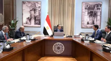 رئيس الوزراء يُوجه بسرعة الانتهاء من مبادرة تشجيع تركيب الواح الطاقة الشمسية في المصانع والمنازل | طاقة ومعادن
