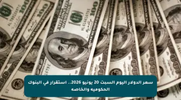 سعر الدولار اليوم السبت 20 يونيو 2026.. استقرار في البنوك الحكومية والخاصة