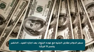 سعر الدولار مقابل الجنيه مع عودة البنوك بعد إجازة العيد.. الأخضر يخسر 15 قرشًا