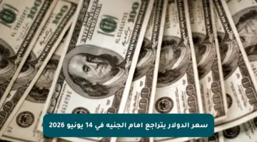 سعر الدولار يتراجع أمام الجنيه في 14 يونيو 2026