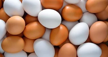 سعر البيضة 2.5 جنيه.. أسعار البيض بكفر الشيخ السبت 13 يونيو 2026
