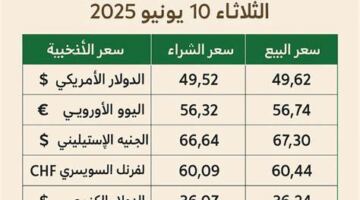 سعر الدولار في البنك الأهلي وCIB اليوم السبت 20-6-2026 – مقالات نيوز