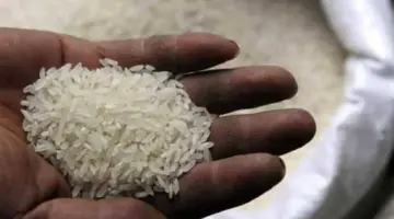 سعر طن الأرز الشعير والأبيض اليوم في مصر.. استقرار ملحوظ بالأسواق وتوافر المعروض