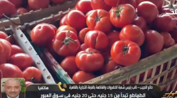 شعبة الخضروات والفاكهة: سعر كيلو الطماطم في سوق العبور 15 جنيه