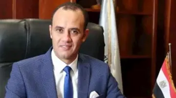 شعبة الدواجن: 45 تاجرًا يتحكمون في السوق وفجوة سعرية 25 جنيهًا بين المزرعة