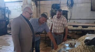 ضبط 10 أطنان ملح فاسد و2.7 طن أرز غير مطابق للمواصفات خلال حملة بسمالوط