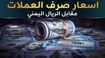 عاجل: الأسعار تتساقط بالأسواق اليمنية… سعر صرف الريال يمني يستقر بشكل ملحوظ أمام العملات الأجنبية مساء الجمعة!