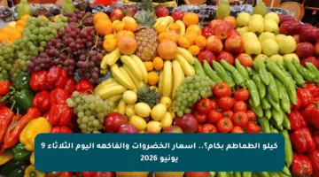 كيلو الطماطم بكام؟.. أسعار الخضروات والفاكهة اليوم الثلاثاء 9 يونيو 2026