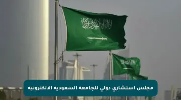 مجلس استشاري دولي للجامعة السعودية الإلكترونية