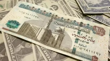 مفاجآت جديدة في الأسواق.. الدواجن والذهب يتراجعان والبيض يرتفع