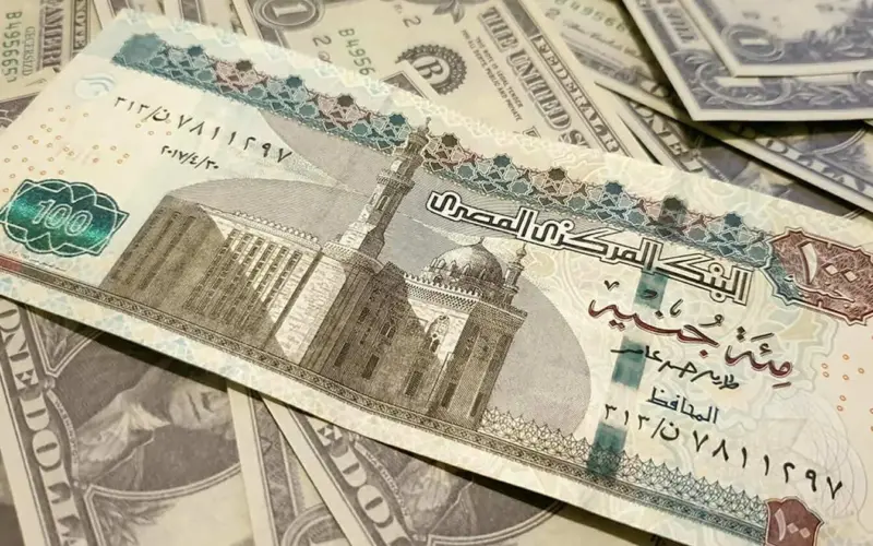 مفاجآت جديدة في الأسواق.. الدواجن والذهب يتراجعان والبيض يرتفع