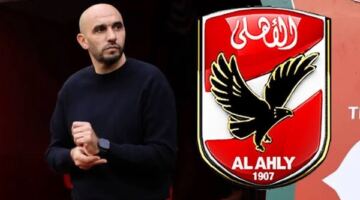 مفاجأة.. وليد الركراكي يقترب من خلافة توروب في الأهلي
                                                
                                                
                                                    02/06/2026 01:39 ص
                                                
                                                
                                                    فجر الإعلامي إسلام صادق مفاجأة من العيار الثقيل، بعدما كشف عن دخول النادي الأهلي في مفاوضات مع المدير الفني المغربي وليد الركراكي، من أجل تولي القيادة الفنية للفريق خلفًا للدنماركي ياس توروب بداية من