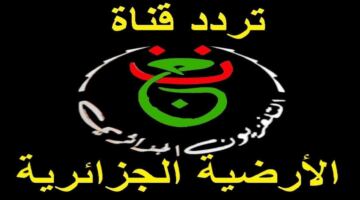 من بينها مباراة مصر وبلجيكا.. تردد القناة الجزائرية الناقلة لكأس العالم